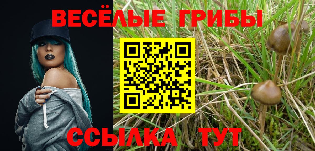 Бутурлиновка  Галлюциногенные грибы GOLDEN TEACHER  что такое наркотик  Вход с VPN 